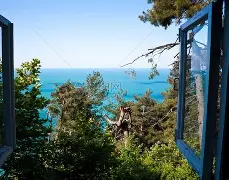 爱游戏体育 -窗口期体能课后，波士顿凯尔特人内部沟通备战法国杯，目标明确，医务组通报恢复的简单介绍